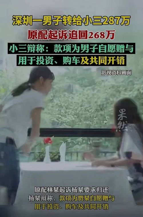 丈夫辞职回国约情人_发现妻子出轨_妻子直追琼海